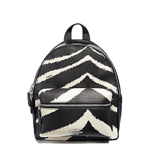 mini charlie coach